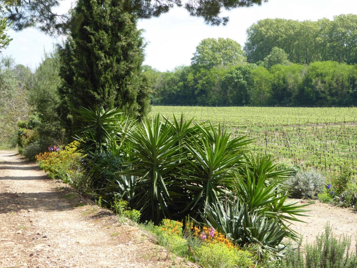Domaine De L'Herbe Sainte Mirepeisset Zewnętrze zdjęcie