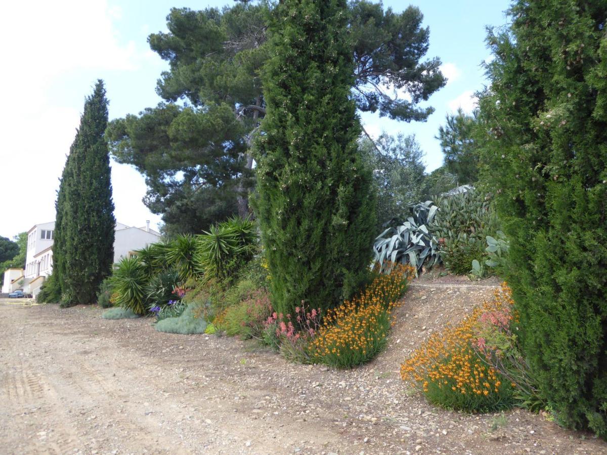 Domaine De L'Herbe Sainte Mirepeisset Zewnętrze zdjęcie