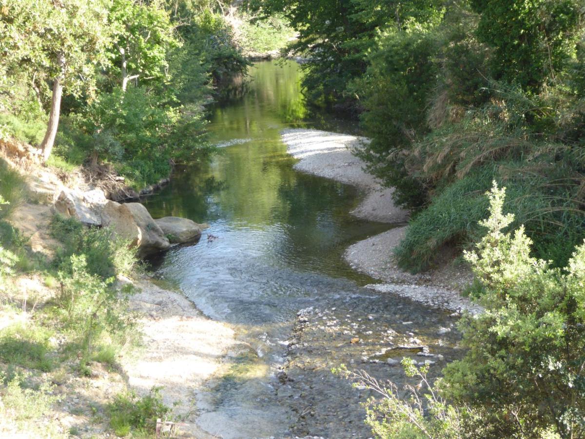 Domaine De L'Herbe Sainte Mirepeisset Zewnętrze zdjęcie