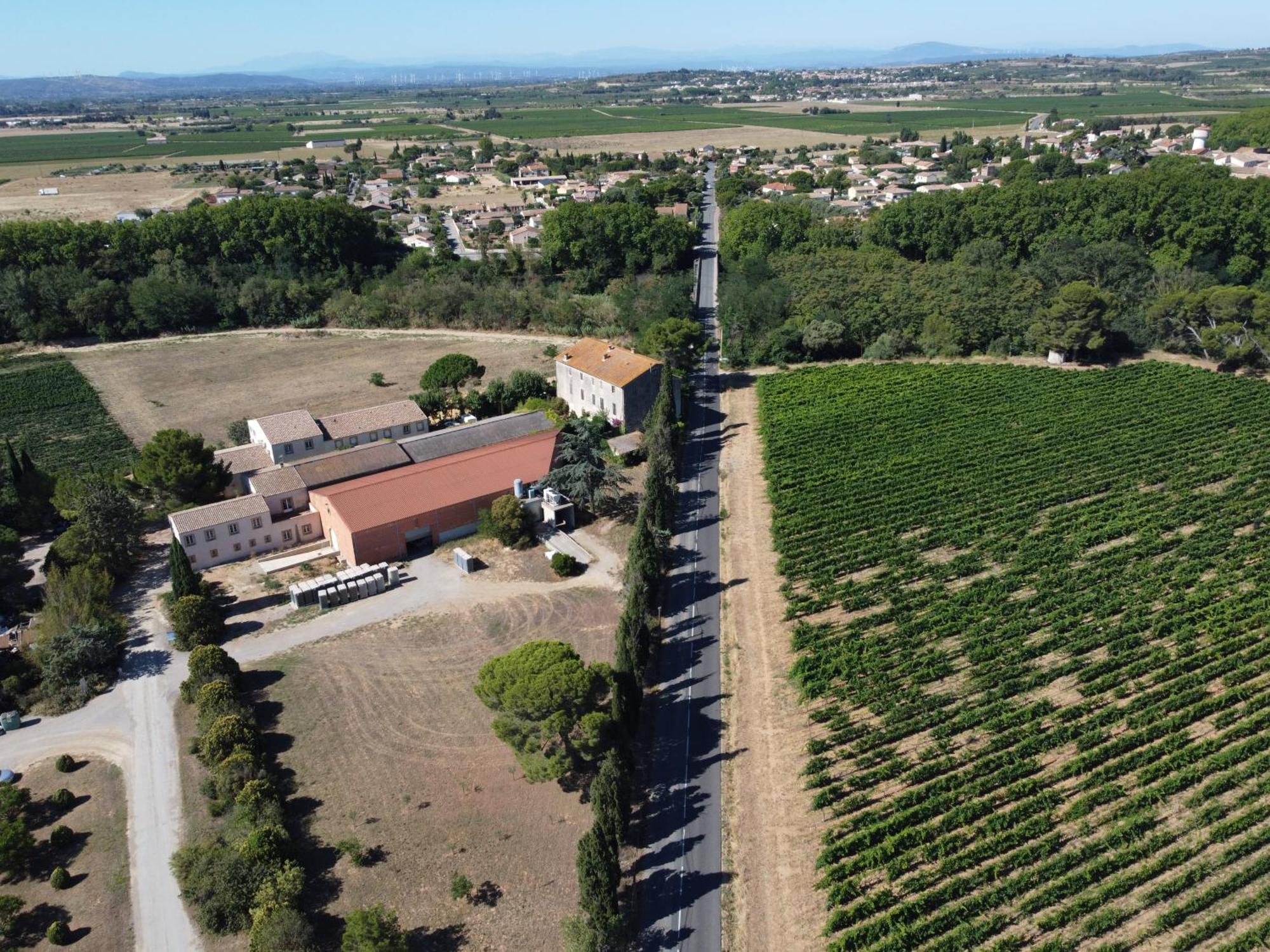 Domaine De L'Herbe Sainte Mirepeisset Zewnętrze zdjęcie